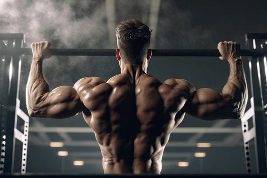 The right exercises for Fast Muscle Gain